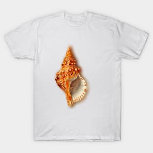 Conch T-Shirt